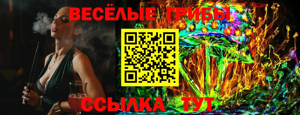 Борзя  Псилоцибиновые грибы Magic Shrooms  Вход с VPN  даркнет сайт  Псилоцибиновые грибы ЛСД 