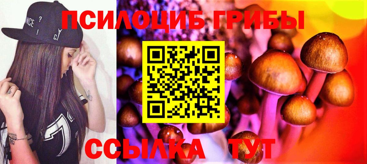 Псилоцибиновые грибы мицелий Борзя